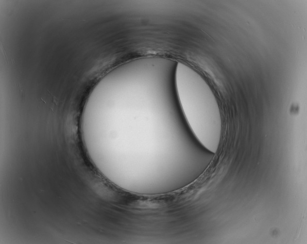 X0000103250545200808281058