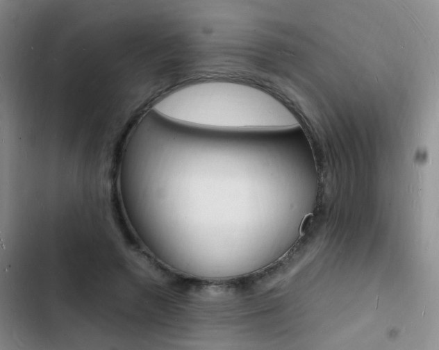X0000103250546200808281059