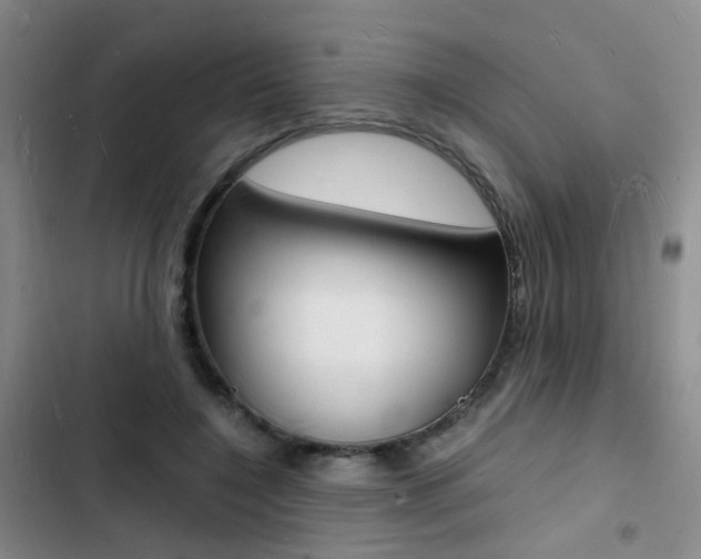 X0000103250548200808281059