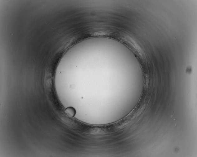 X0000103250549200808281059