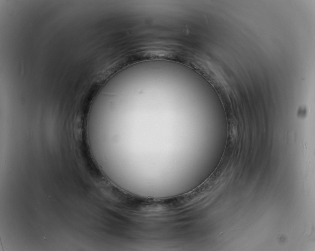 X0000103250551200808281059