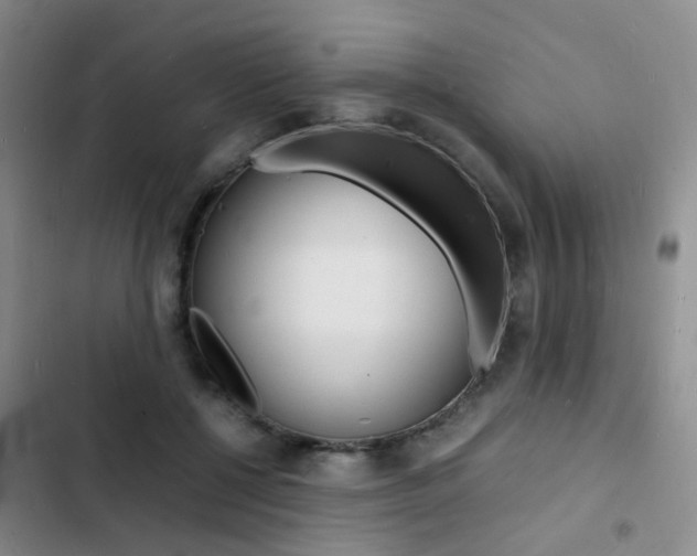 X0000103250552200808281059