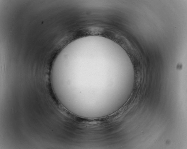 X0000103250553200808281059