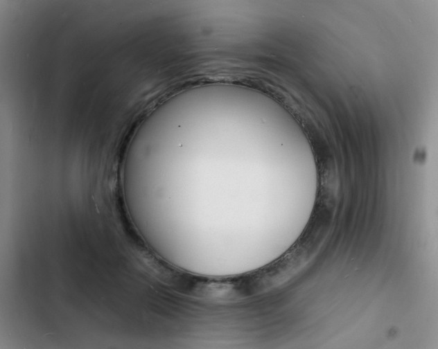 X0000103250554200808281059