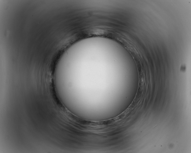 X0000103250555200808281059