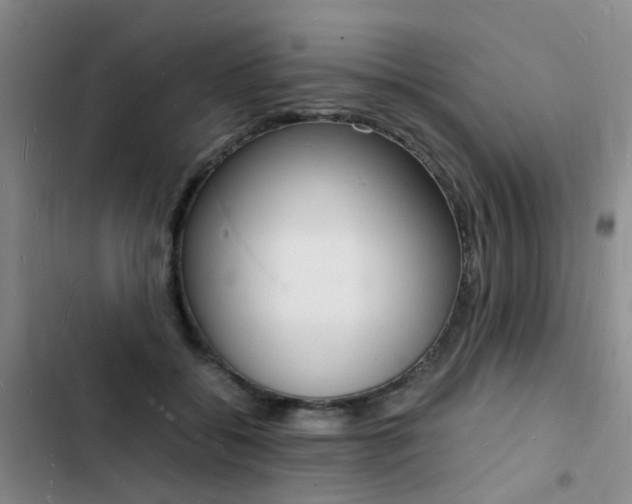 X0000103250556200808281059