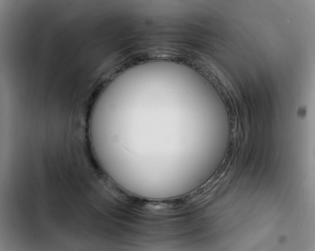 X0000103250557200808281059