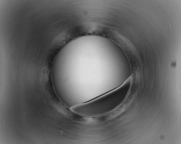 X0000103250558200808281059