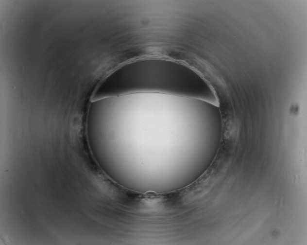 X0000103250560200808281059