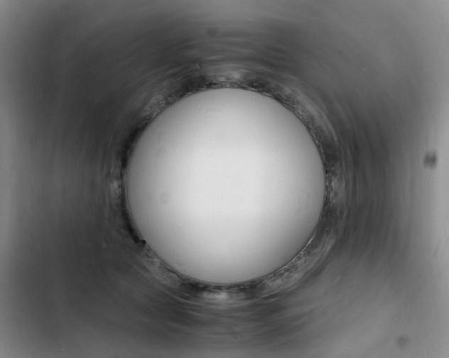 X0000103250561200808281059