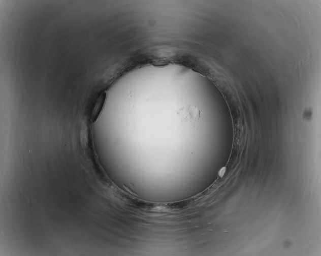 X0000103250562200808281059