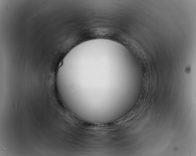 X0000103250563200808281059
