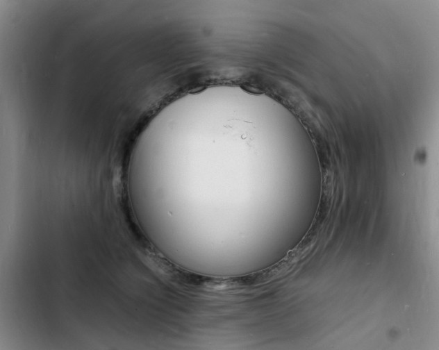 X0000103250564200808281059