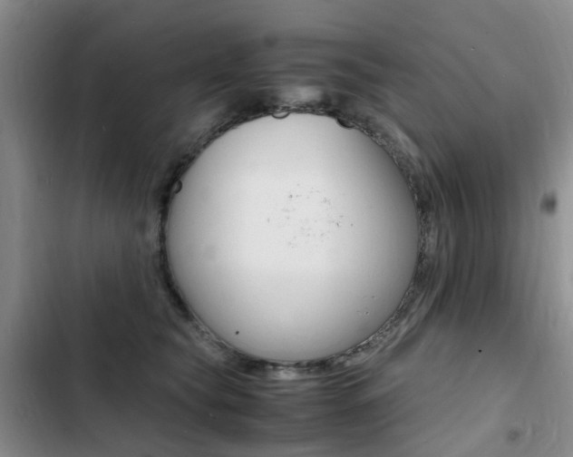 X0000103250565200808281059