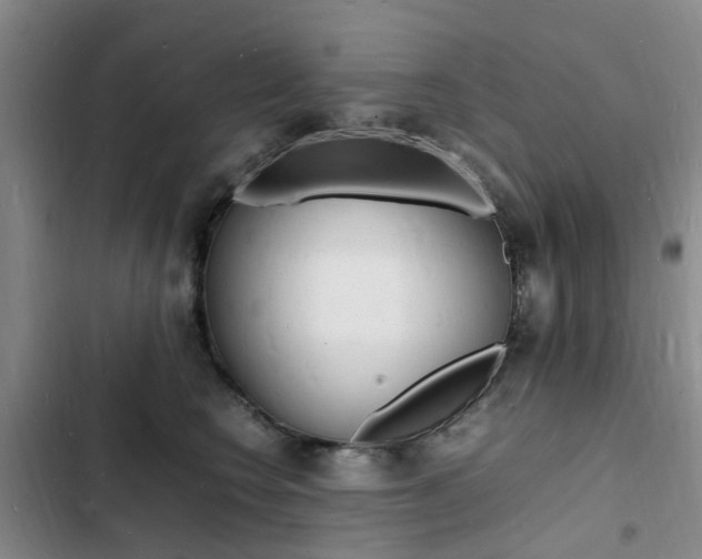 X0000103250566200808281059
