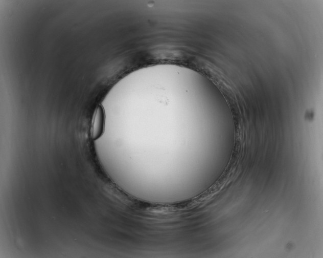 X0000103250567200808281059