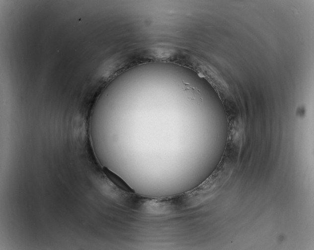 X0000103250568200808281059