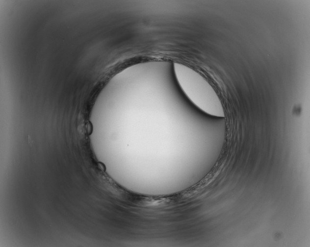 X0000103250569200808281059