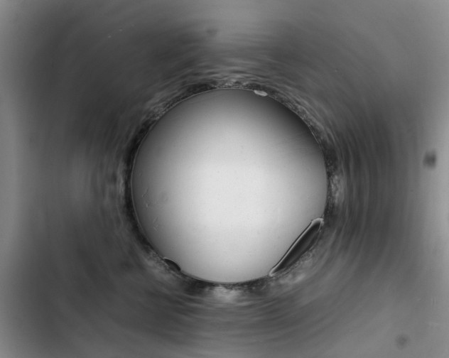 X0000103250570200808281059