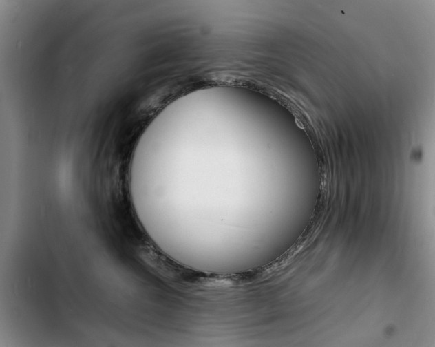 X0000103250572200808281059