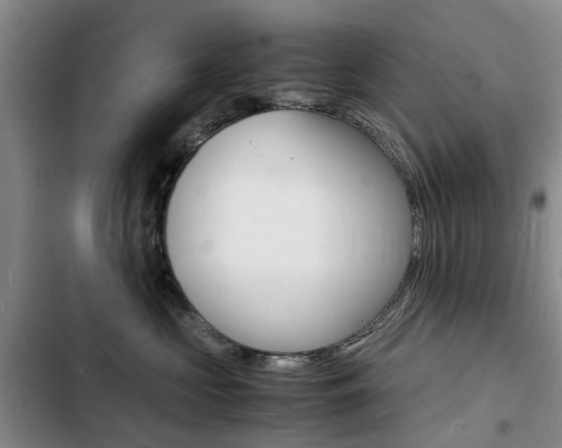 X0000103250573200808281059