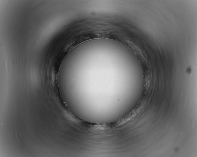 X0000103250574200808281059