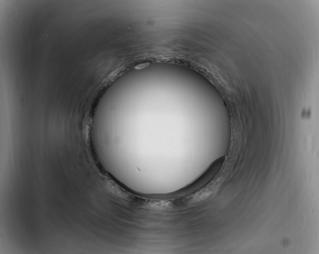 X0000103250576200808281059