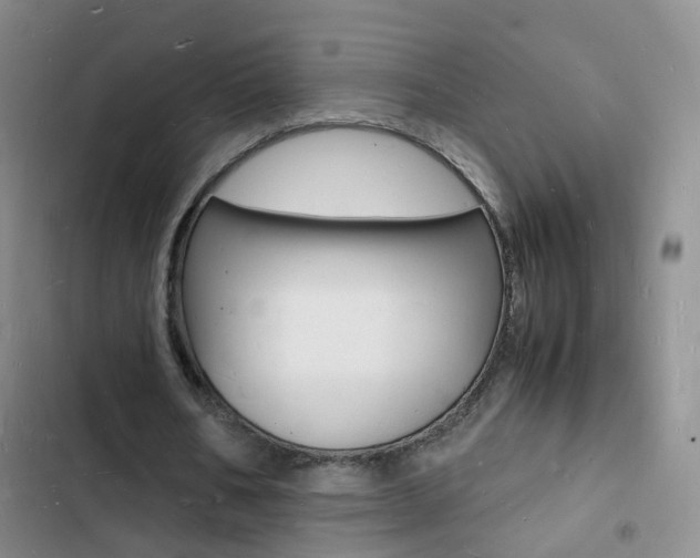 X0000103250578200808281058