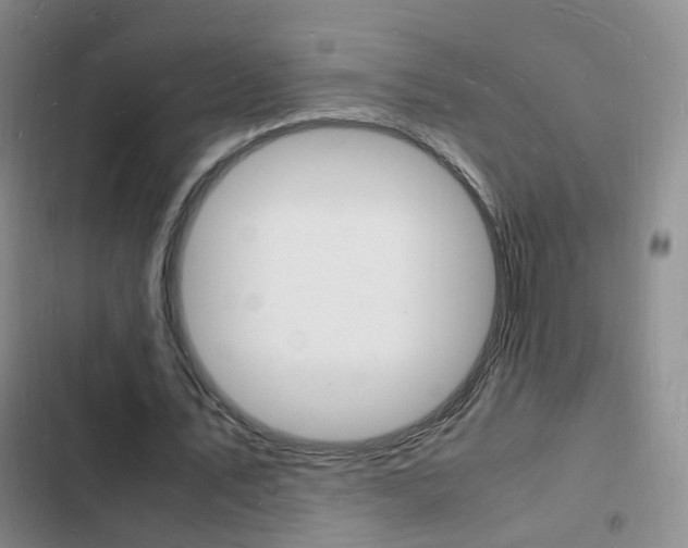 X0000103250579200808281058