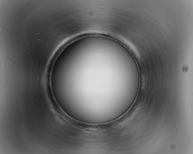 X0000103250580200808281058
