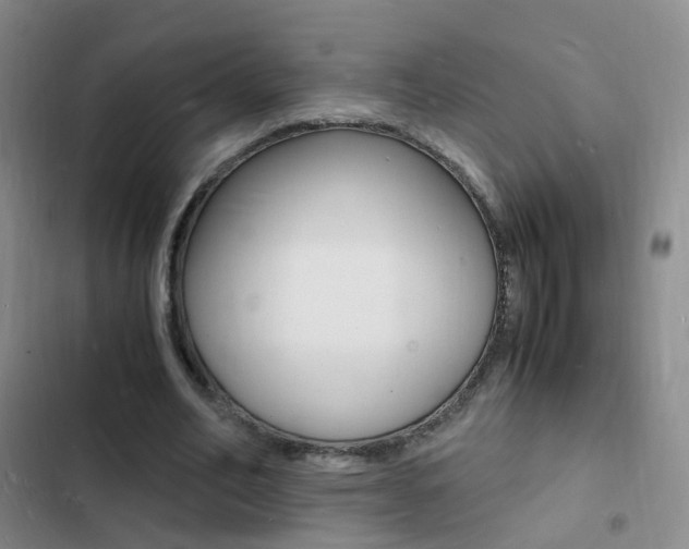 X0000103250582200808281058