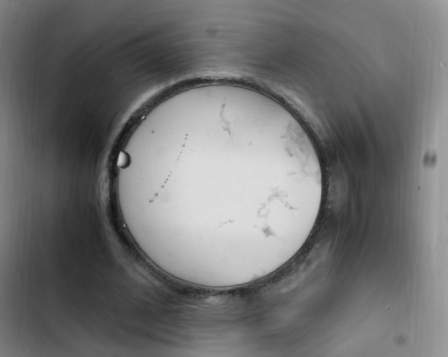 X0000103250584200808281058