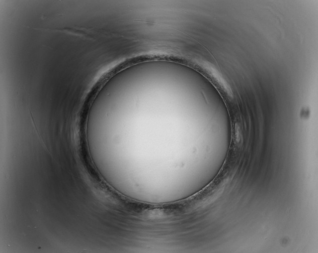 X0000103250588200808281058