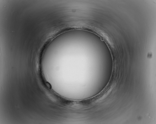 X0000103250589200808281058
