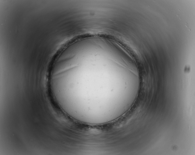 X0000103250592200808281058