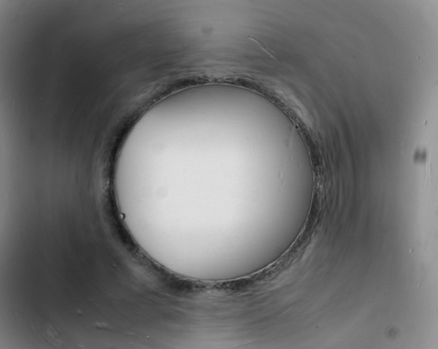 X0000103250593200808281058