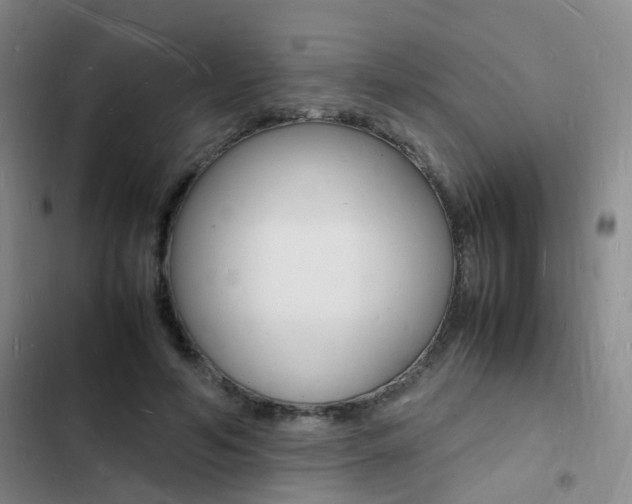 X0000103250594200808281058