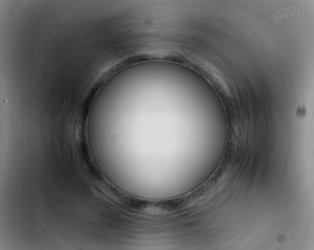 X0000103250596200808281058