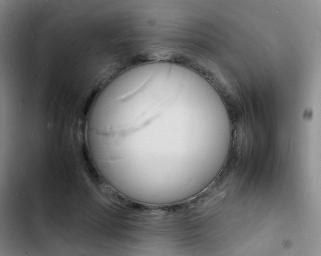 X0000103250598200808281058