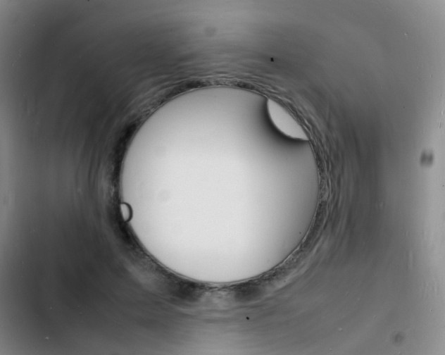 X0000103250599200808281058