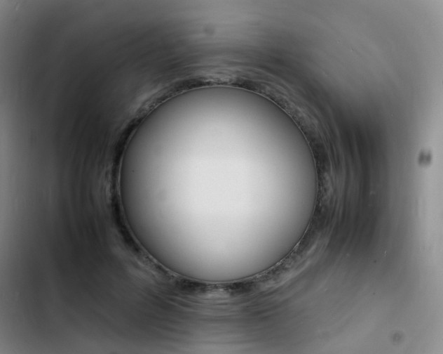 X0000103250600200808281058