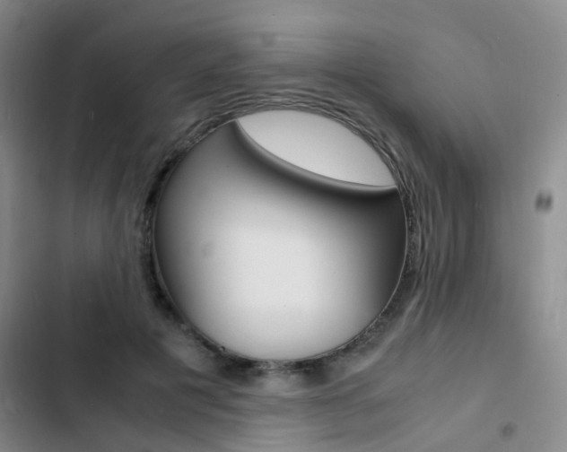 X0000103250601200808281058