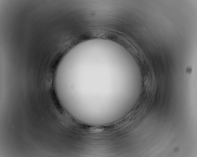 X0000103250602200808281058