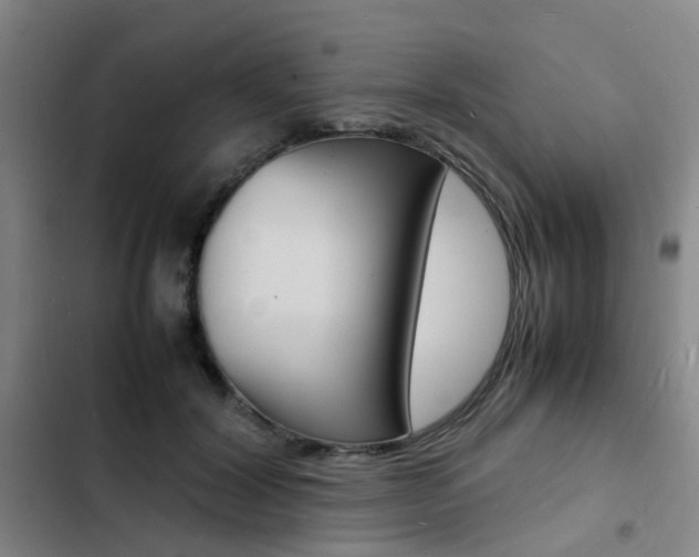 X0000103250604200808281058