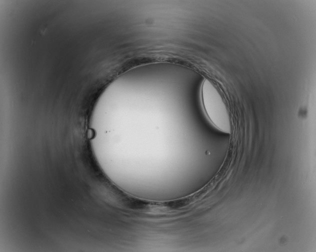 X0000103250605200808281058
