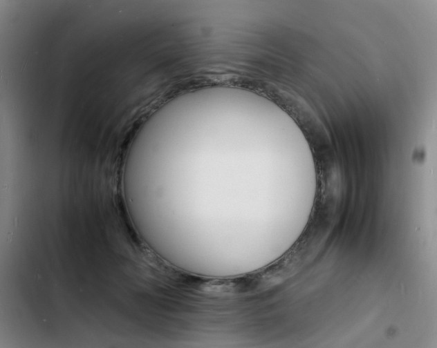 X0000103250606200808281058