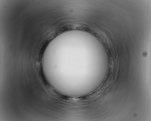 X0000103250607200808281058