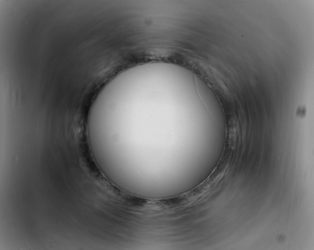 X0000103250608200808281058