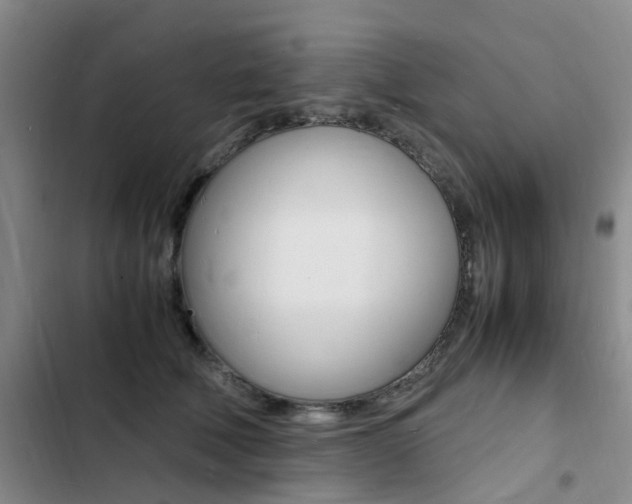 X0000103250610200808281058
