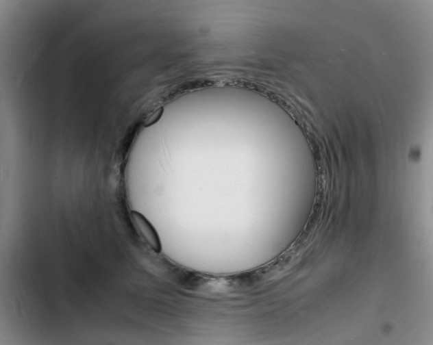 X0000103250611200808281058